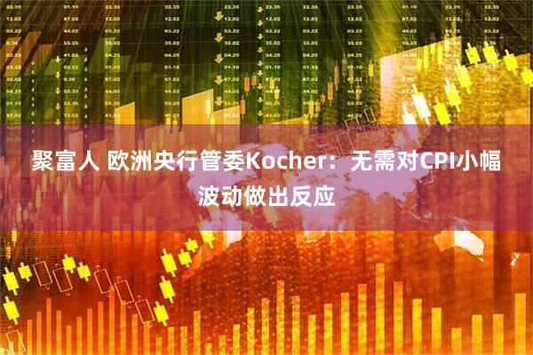 聚富人 欧洲央行管委Kocher：无需对CPI小幅波动做出反应