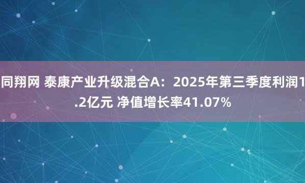 同翔网 泰康产业升级混合A：2025年第三季度利润1.2亿元 净值增长率41.07%