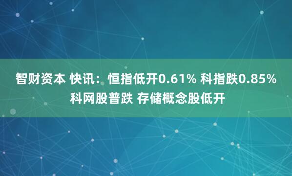 智财资本 快讯：恒指低开0.61% 科指跌0.85% 科网股普跌 存储概念股低开